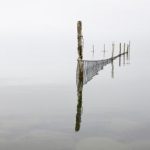 国产二十一区 8zno2