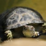 初恋时间 线上看 ruz2q6o4