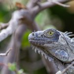 初恋时间无删减 xyyjtlrmu